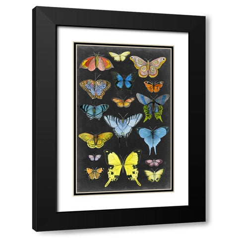 Graphic Butterfly Taxonomy II Black Modern Wood Framed Art Print with Double Matting by McCavitt, Naomi