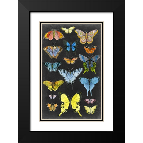 Graphic Butterfly Taxonomy II Black Modern Wood Framed Art Print with Double Matting by McCavitt, Naomi
