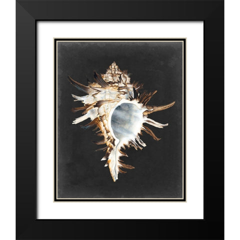 Graphic Black Murex Black Modern Wood Framed Art Print with Double Matting by Willett, Michael