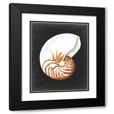 Graphic Nautilus Black Modern Wood Framed Art Print with Double Matting by Willett, Michael