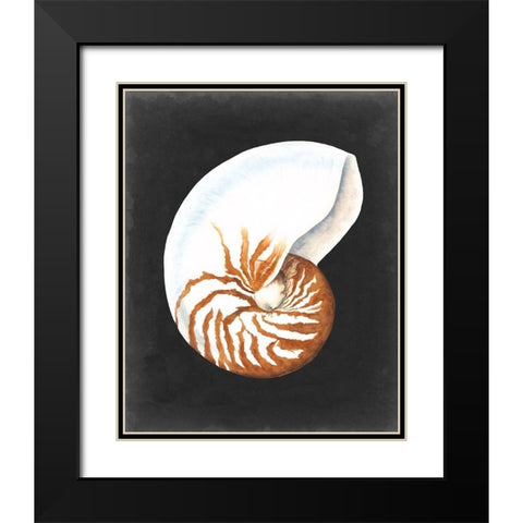 Graphic Nautilus Black Modern Wood Framed Art Print with Double Matting by Willett, Michael