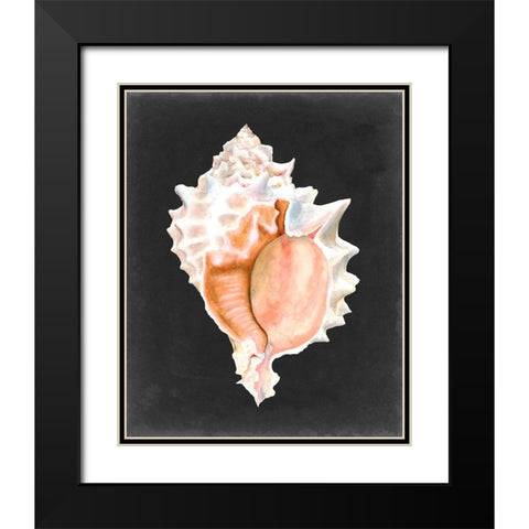 Graphic Pink Murex Black Modern Wood Framed Art Print with Double Matting by Willett, Michael