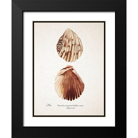 Sienna Shell Collector I Black Modern Wood Framed Art Print with Double Matting by Warren, Annie