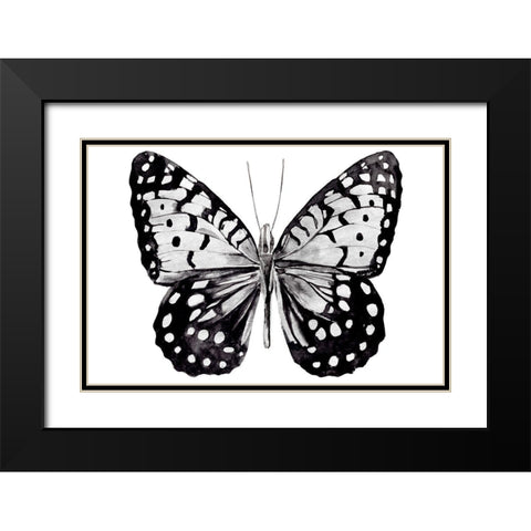Monochrome Wings Whole I Black Modern Wood Framed Art Print with Double Matting by Warren, Annie