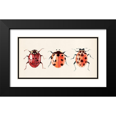 Ladybug Display I Black Modern Wood Framed Art Print with Double Matting by Warren, Annie