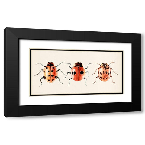 Ladybug Display II Black Modern Wood Framed Art Print with Double Matting by Warren, Annie