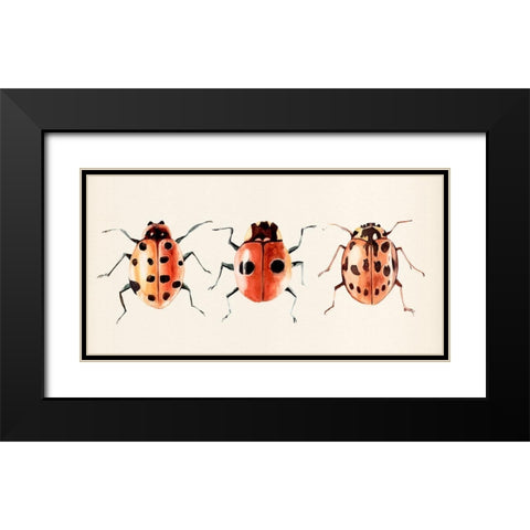 Ladybug Display II Black Modern Wood Framed Art Print with Double Matting by Warren, Annie
