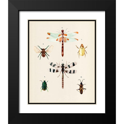 Insect Varieties II Black Modern Wood Framed Art Print with Double Matting by Warren, Annie