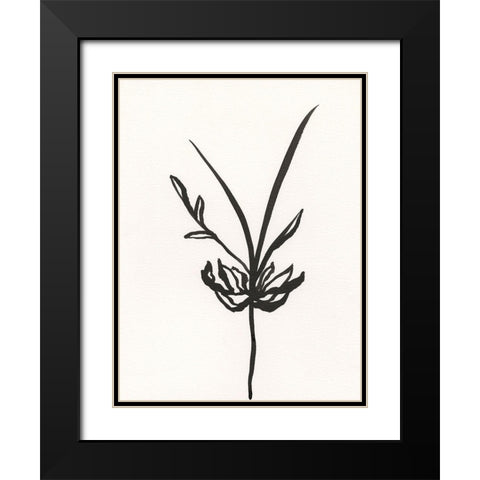 Ink Botanical Sketch I Black Modern Wood Framed Art Print with Double Matting by Holland, J.