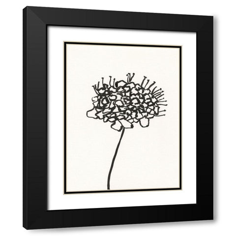 Ink Botanical Sketch V Black Modern Wood Framed Art Print with Double Matting by Holland, J.