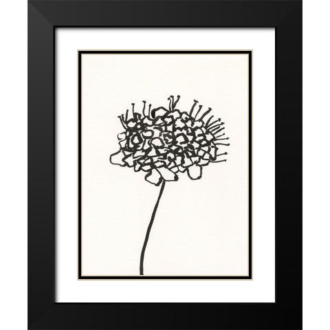 Ink Botanical Sketch V Black Modern Wood Framed Art Print with Double Matting by Holland, J.