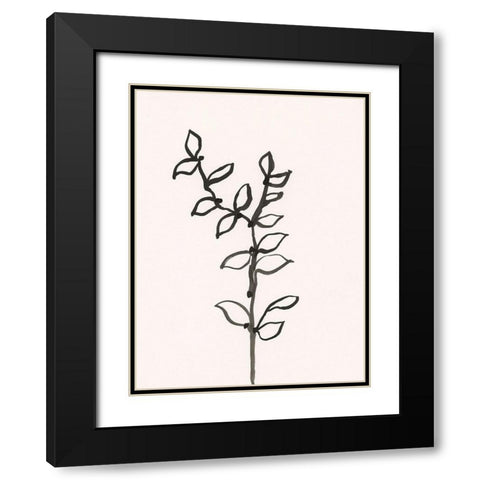 Ink Botanical Sketch X Black Modern Wood Framed Art Print with Double Matting by Holland, J.