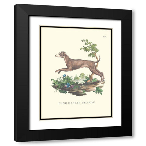 French Dogs I Black Modern Wood Framed Art Print with Double Matting by Unknown