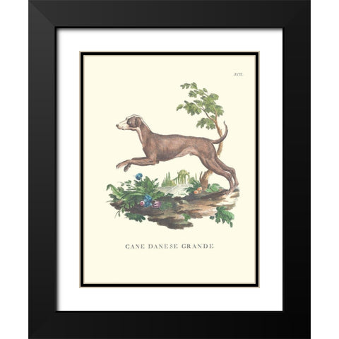 French Dogs I Black Modern Wood Framed Art Print with Double Matting by Unknown