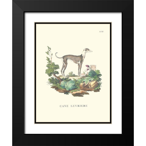 French Dogs III Black Modern Wood Framed Art Print with Double Matting by Unknown