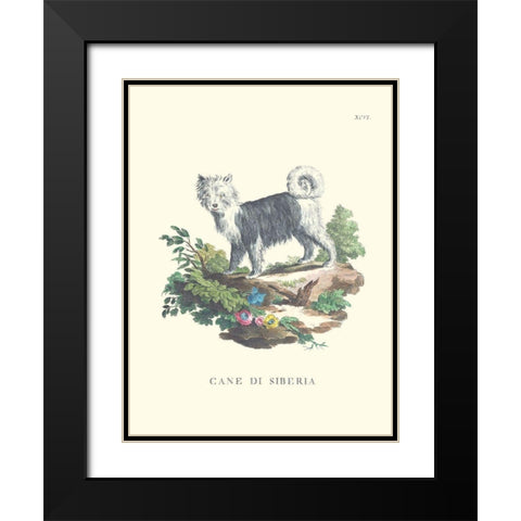 French Dogs IV Black Modern Wood Framed Art Print with Double Matting by Unknown