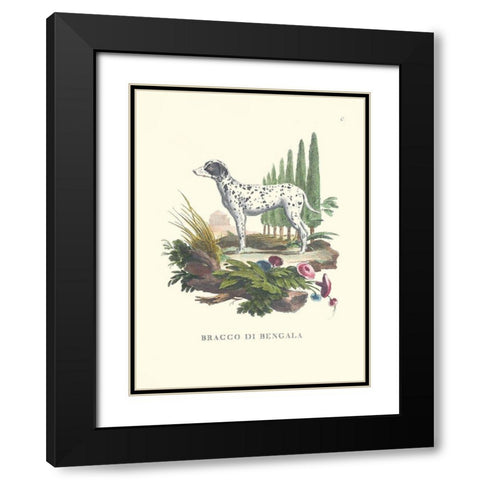 French Dogs V Black Modern Wood Framed Art Print with Double Matting by Unknown