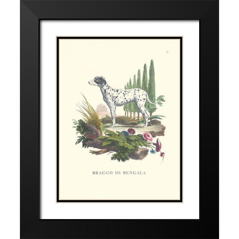 French Dogs V Black Modern Wood Framed Art Print with Double Matting by Unknown