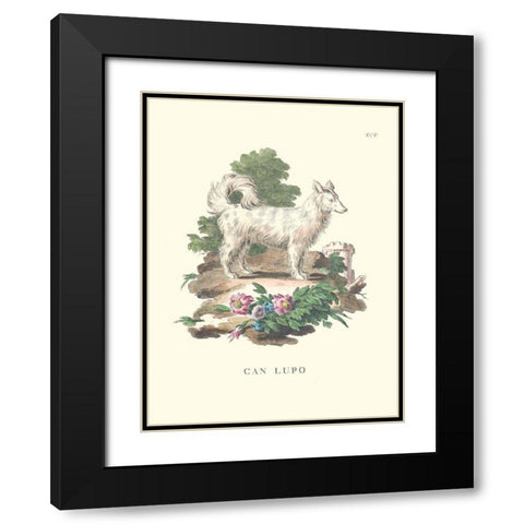 French Dogs VII Black Modern Wood Framed Art Print with Double Matting by Unknown