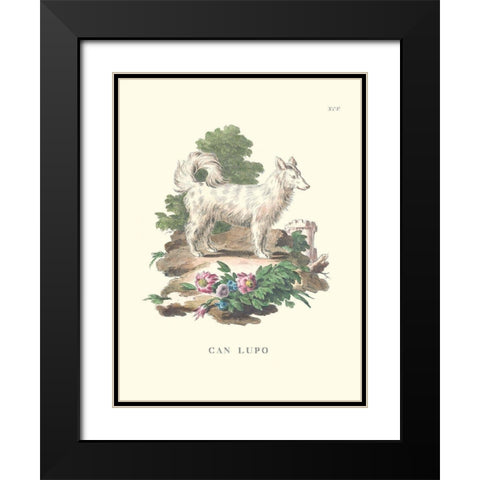 French Dogs VII Black Modern Wood Framed Art Print with Double Matting by Unknown