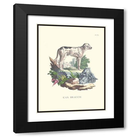 French Dogs VIII Black Modern Wood Framed Art Print with Double Matting by Unknown