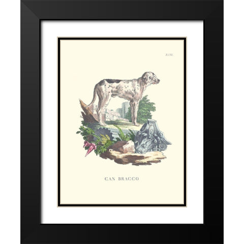 French Dogs VIII Black Modern Wood Framed Art Print with Double Matting by Unknown