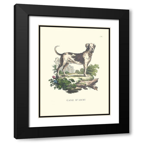French Dogs IX Black Modern Wood Framed Art Print with Double Matting by Unknown