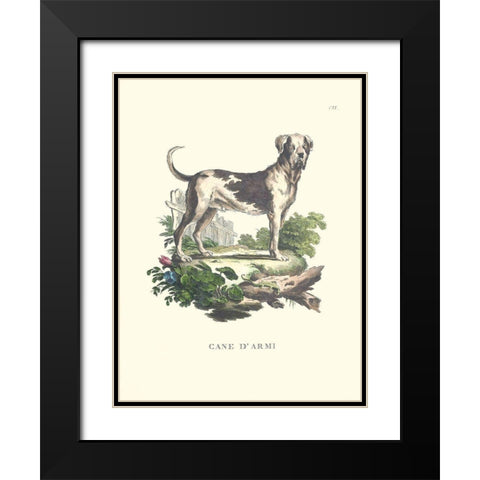 French Dogs IX Black Modern Wood Framed Art Print with Double Matting by Unknown
