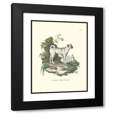 French Dogs X Black Modern Wood Framed Art Print with Double Matting by Unknown