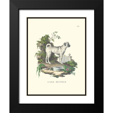 French Dogs X Black Modern Wood Framed Art Print with Double Matting by Unknown