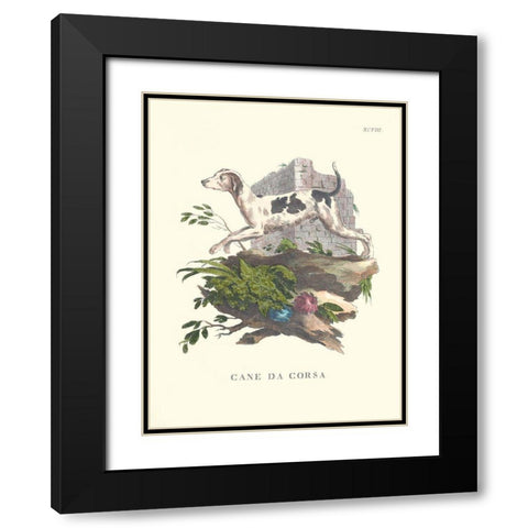 French Dogs XI Black Modern Wood Framed Art Print with Double Matting by Unknown