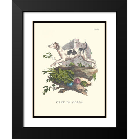 French Dogs XI Black Modern Wood Framed Art Print with Double Matting by Unknown