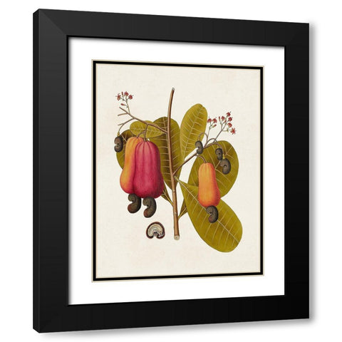 Exotic Botanicals I Black Modern Wood Framed Art Print with Double Matting by Unknown