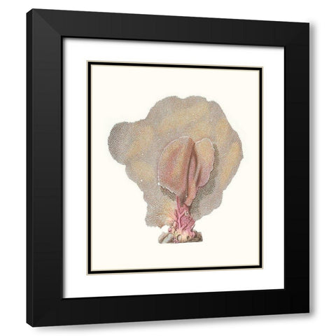 Terra Cotta Coral III Black Modern Wood Framed Art Print with Double Matting by Unknown