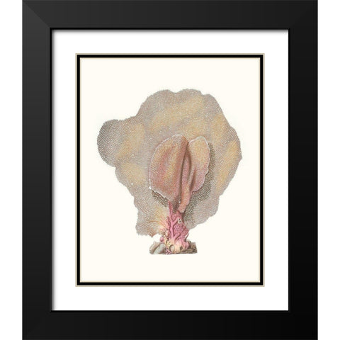 Terra Cotta Coral III Black Modern Wood Framed Art Print with Double Matting by Unknown