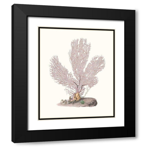 Terra Cotta Coral IV Black Modern Wood Framed Art Print with Double Matting by Unknown