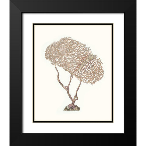 Terra Cotta Coral V Black Modern Wood Framed Art Print with Double Matting by Unknown