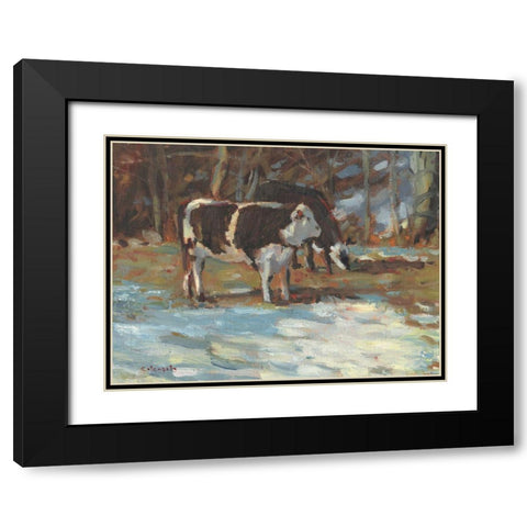 Cows Grazing-Somerset III Black Modern Wood Framed Art Print with Double Matting by Calcasola, Stephen