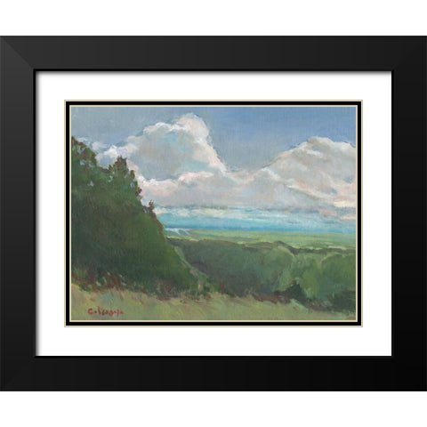 Vista View Black Modern Wood Framed Art Print with Double Matting by Calcasola, Stephen