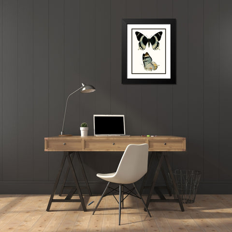 Antique Blue Butterflies I Black Modern Wood Framed Art Print with Double Matting by Vision Studio