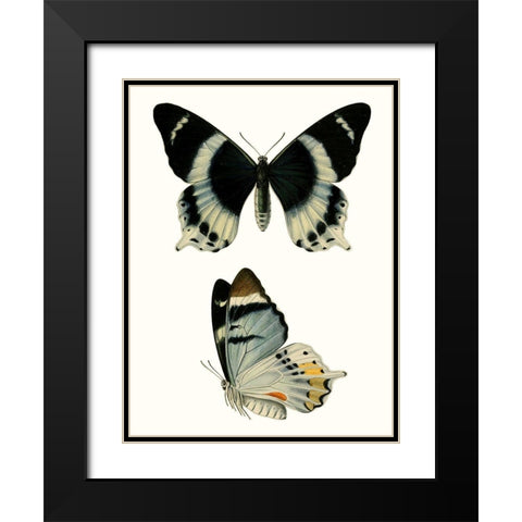 Antique Blue Butterflies I Black Modern Wood Framed Art Print with Double Matting by Vision Studio