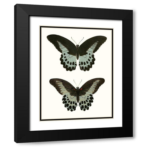 Antique Blue Butterflies II Black Modern Wood Framed Art Print with Double Matting by Vision Studio
