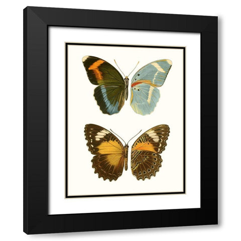 Antique Blue Butterflies III Black Modern Wood Framed Art Print with Double Matting by Vision Studio