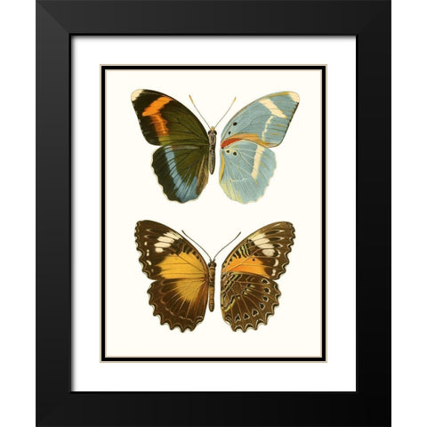 Antique Blue Butterflies III Black Modern Wood Framed Art Print with Double Matting by Vision Studio