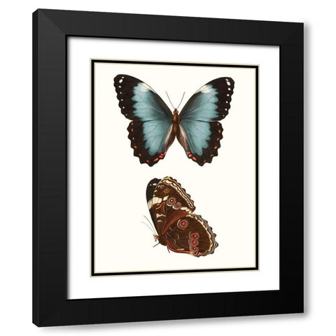 Antique Blue Butterflies IV Black Modern Wood Framed Art Print with Double Matting by Vision Studio