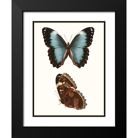 Antique Blue Butterflies IV Black Modern Wood Framed Art Print with Double Matting by Vision Studio