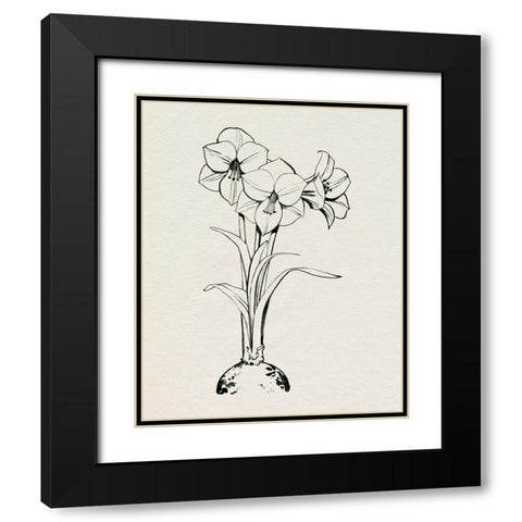 Christmas Amaryllis I Black Modern Wood Framed Art Print with Double Matting by Popp, Grace