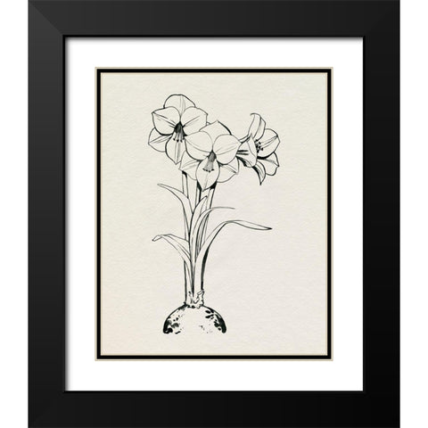 Christmas Amaryllis I Black Modern Wood Framed Art Print with Double Matting by Popp, Grace