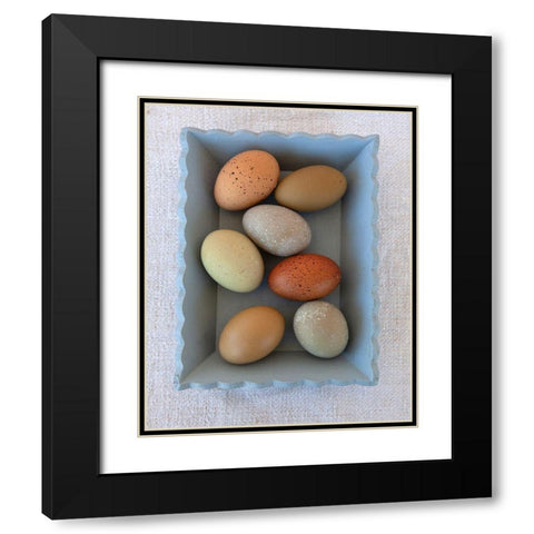 Rainbow Eggs in Blue Box Black Modern Wood Framed Art Print with Double Matting by Soderman, Tania