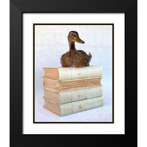 Tania Soderman Books I Black Modern Wood Framed Art Print with Double Matting by Soderman, Tania